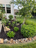 Mulch/Flowerbeds